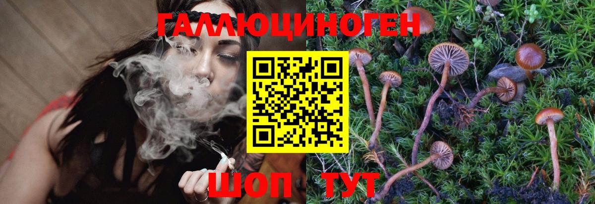 Псилоцибиновые грибы MAGIC MUSHROOMS  Псилоцибиновые грибы мухоморы  Елец  Вход с VPN 